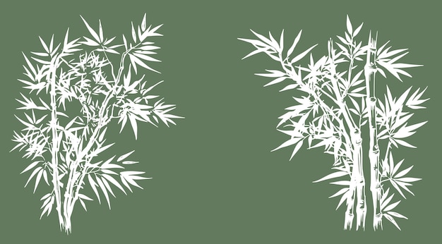 Árbol de bambú Estilo dibujado a mano Vector