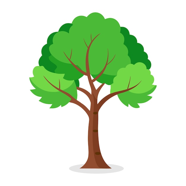 Árbol Betula lenta de abedul negro Ilustración vectorial plana de la naturaleza sobre un fondo blanco