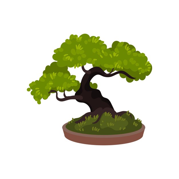 Árbol bonsái en una olla Ilustración vectorial sobre fondo blanco