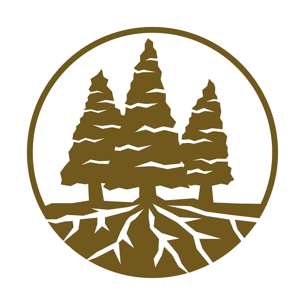Árbol de cedro de pino con logotipo de raíces icono ilustración identidad de marca
