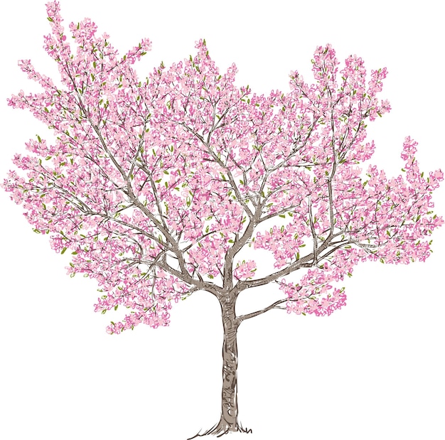 Vector Árbol del cerezo en flor