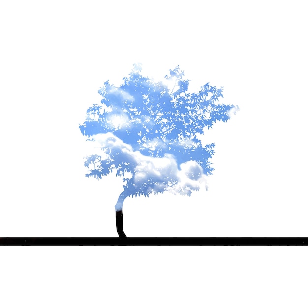 árbol con cielo