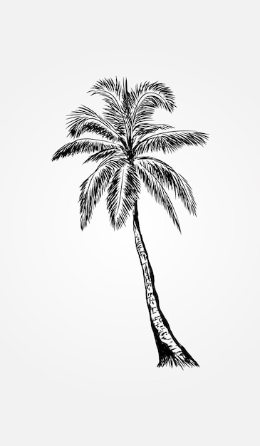 árbol de coco con vector de estilo dibujado a mano