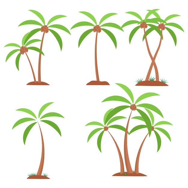 Árbol de coco Vector Ilustraciones de árbol de coco Imágenes prediseñadas de árbol de coco Planta de coco Palmera