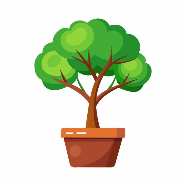 El árbol crece en la olla.