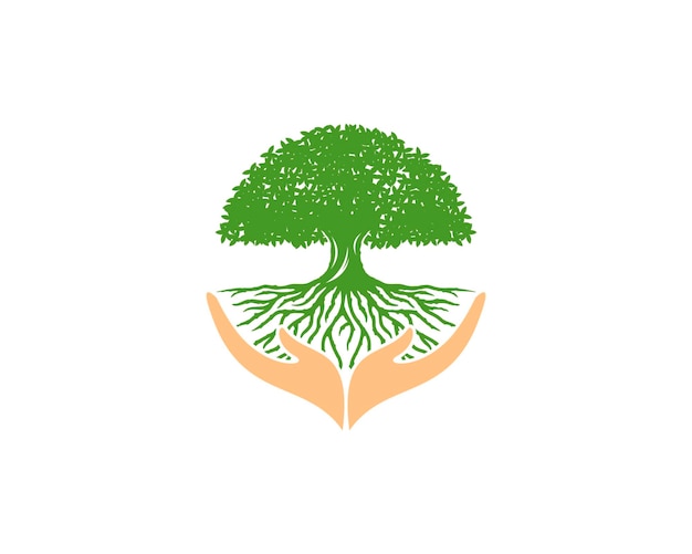 Árbol denso y raíces con cuidado de manos debajo.