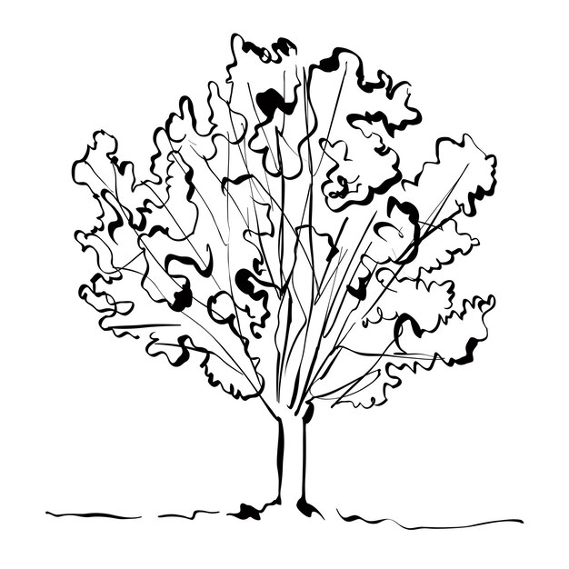 Árbol dibujado a mano monocromo sobre fondo blanco, ilustración simple.