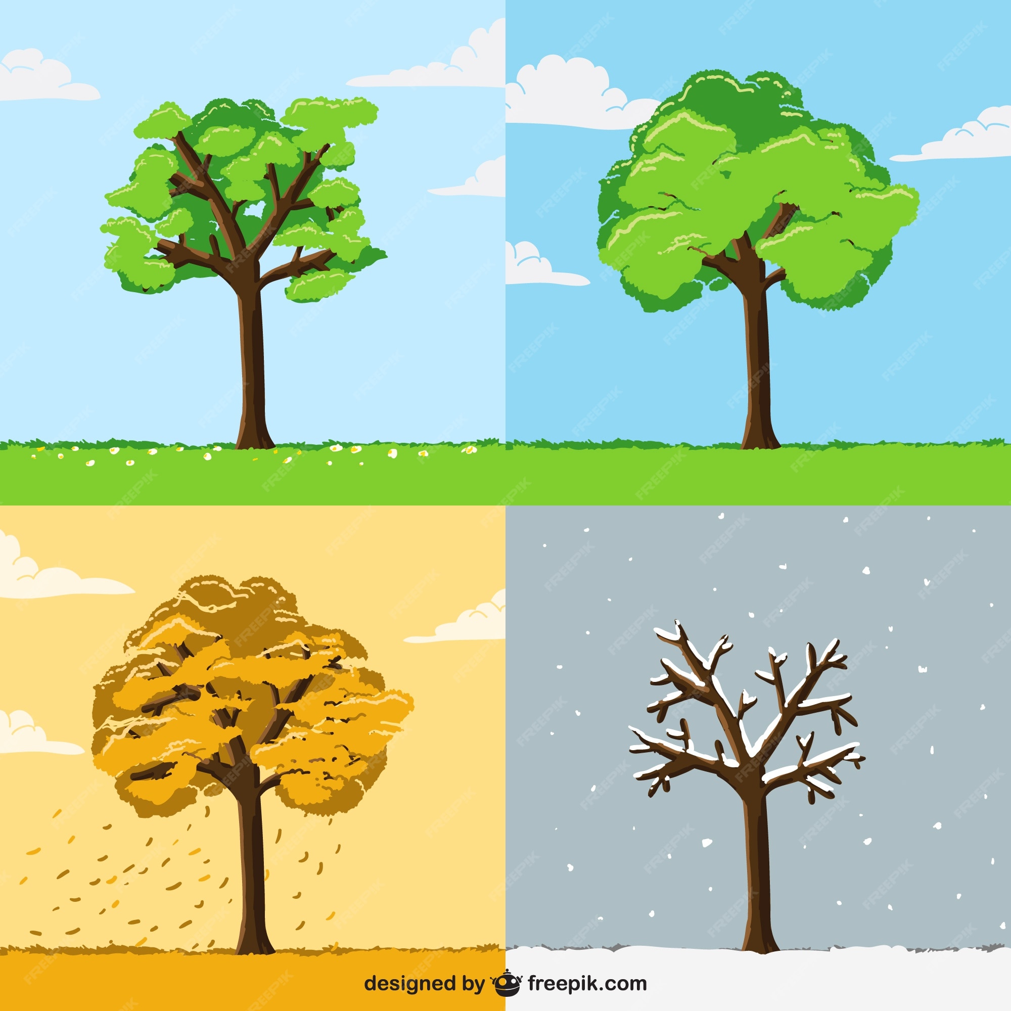 Árbol en diferentes estaciones del año | Vector Premium