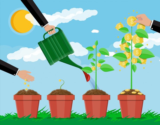Árbol de dinero en crecimiento. Etapas de crecimiento.