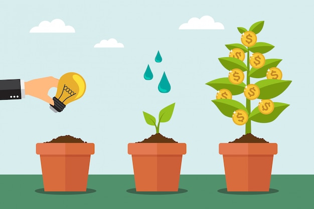 Árbol de dinero y proceso de crecimiento financiero