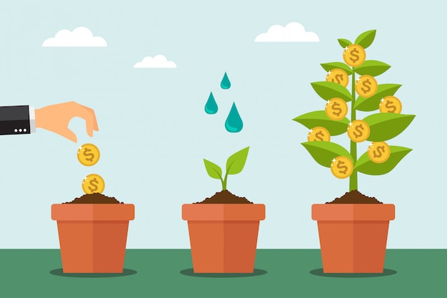 Árbol de dinero y proceso de crecimiento financiero