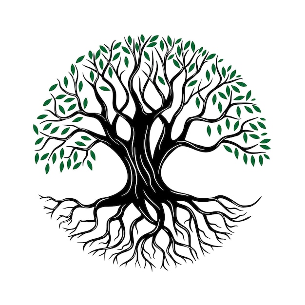 Vector Árbol de diseño de logotipo de roble con raíces