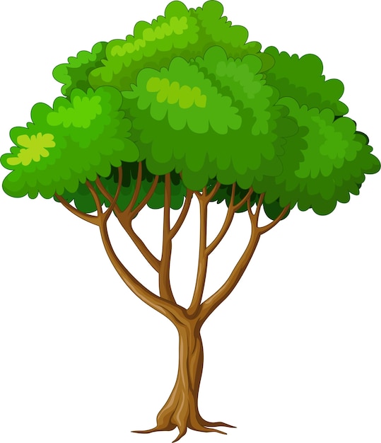 Árbol fértil