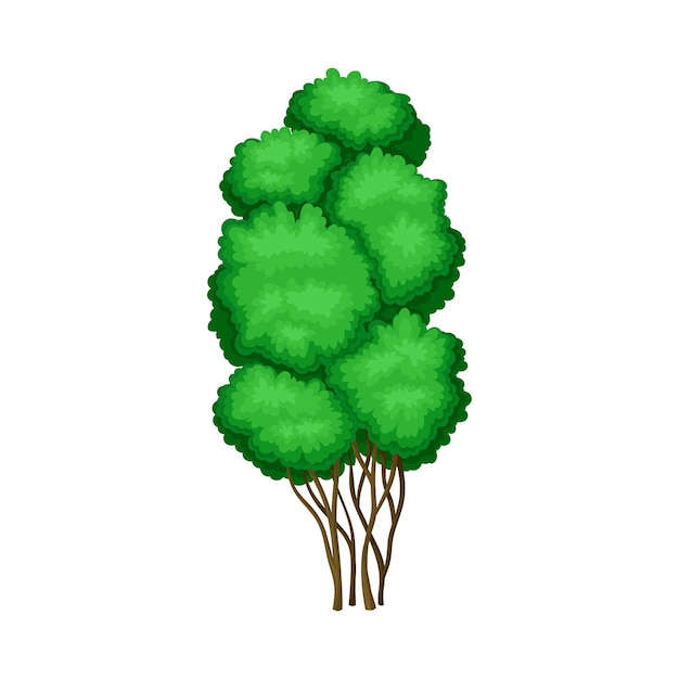 Vector Árbol con follaje verde exuberante e ilustración vectorial del tronco