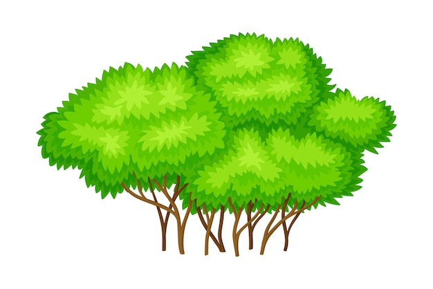 Vector Árbol con follaje verde exuberante e ilustración vectorial del tronco