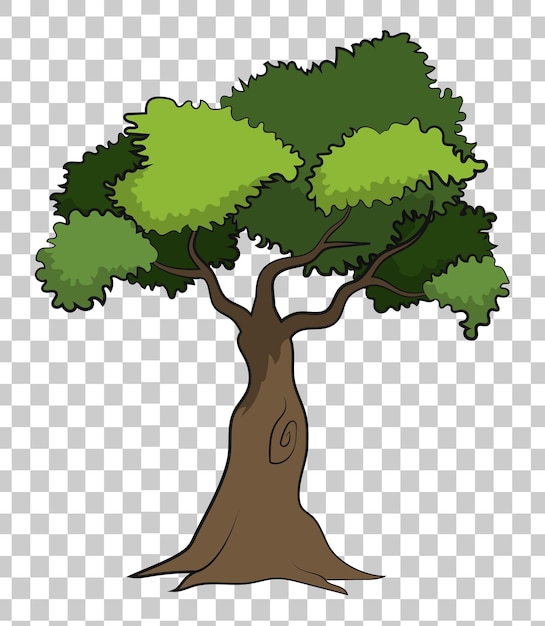 un árbol en un fondo transparente con un patrón del árbol en la parte inferior