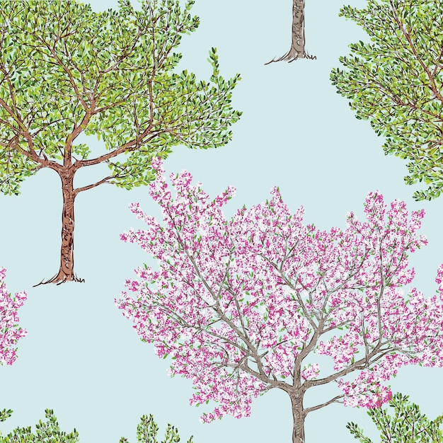 Árbol frutal en diferentes estaciones.