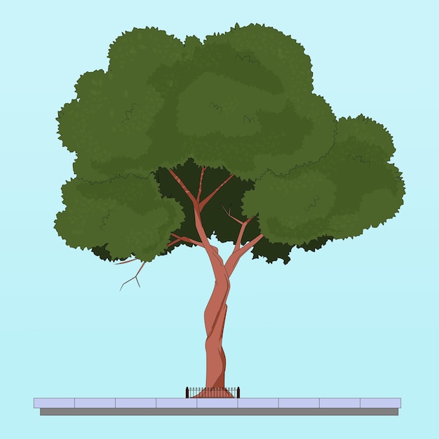 Vector un árbol grande con una corona exuberante, hojas verdes, trazo de contorno, planta al aire libre, crece detrás de una fe de hierro