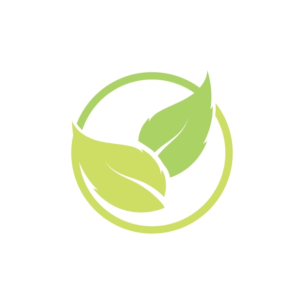 Árbol hoja vector logo diseño eco amigable concepto