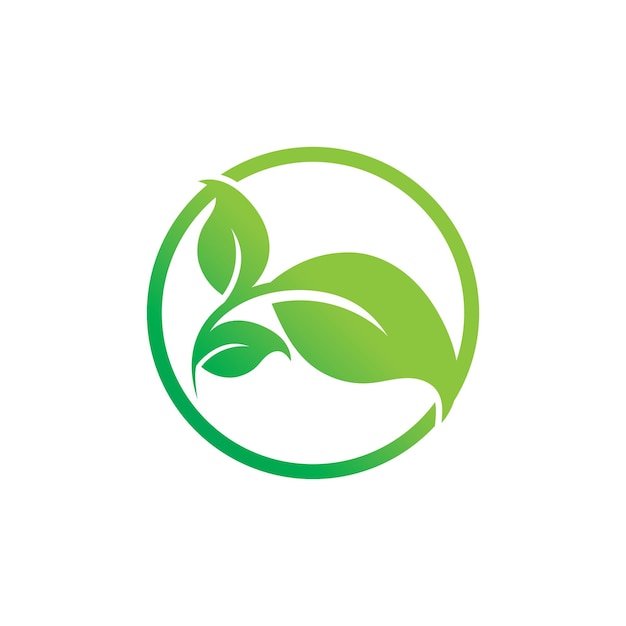Árbol hoja vector logo diseño eco amigable concepto