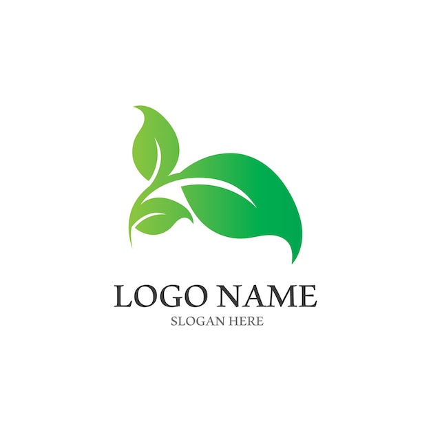 Árbol hoja vector logo diseño eco amigable concepto