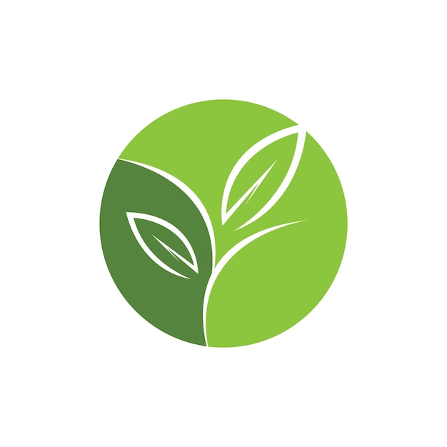 Árbol hoja vector logo diseño eco amigable concepto