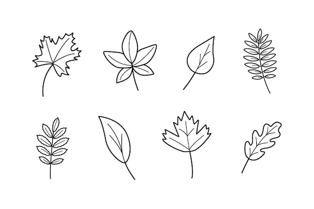 Árbol hojas doodle conjunto de hojas arce roble viburnum álamo temblón abedul serbal