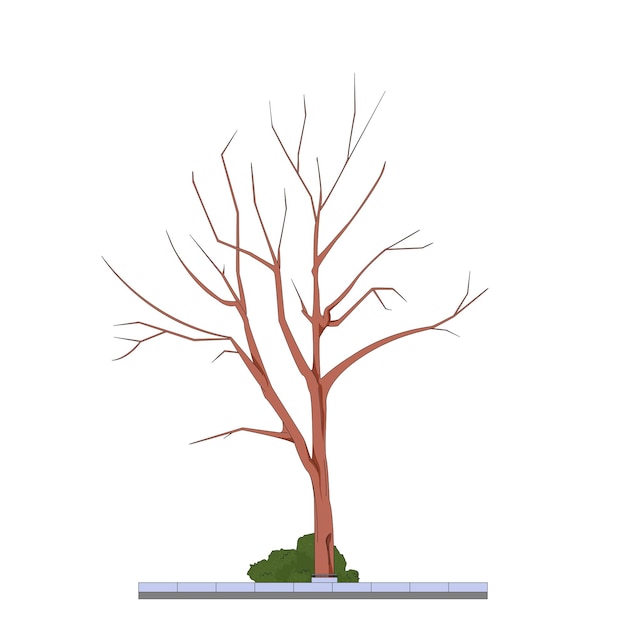 árbol sin hojas seco dibujo de contorno vector ilustración árbol callejero