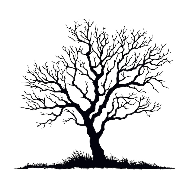 Árbol sin hojas silueta negra Árbol de rama negra o árbol desnudo Símbolo del bosque y el jardín