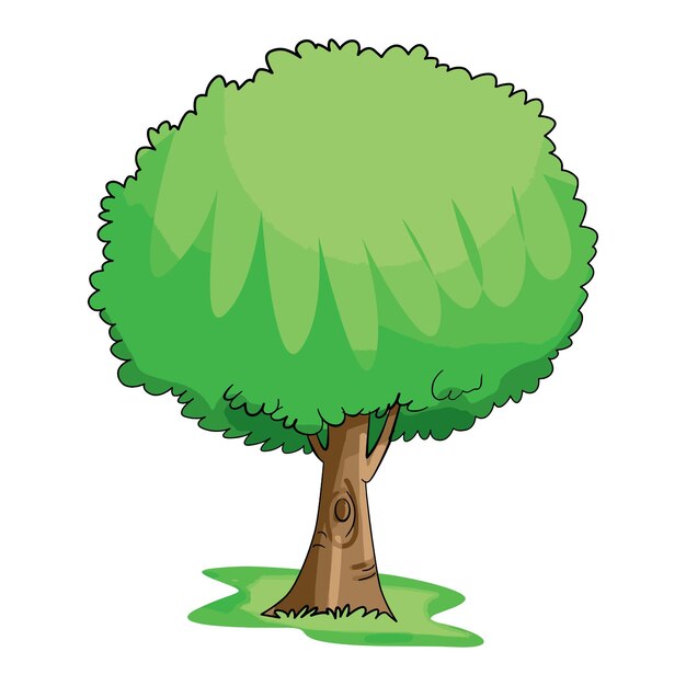 Árbol con hojas verdes aisladas en fondo blanco