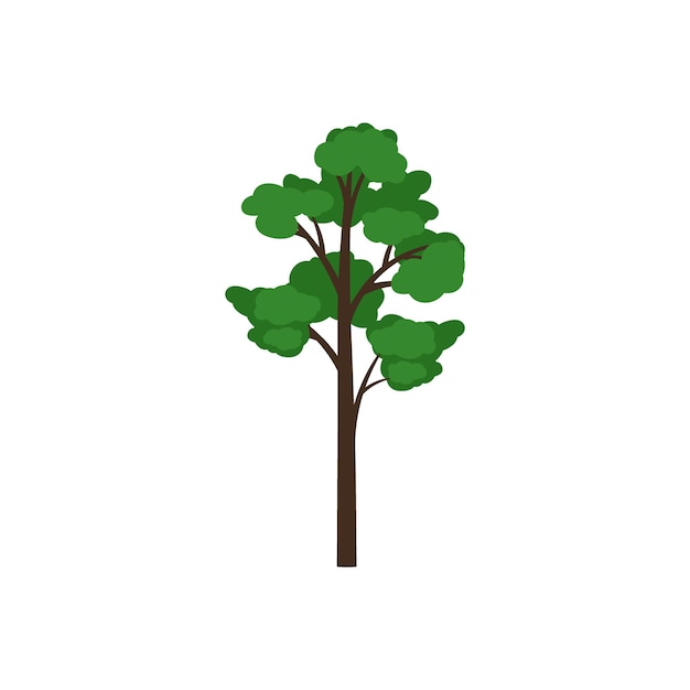 un árbol con hojas verdes y un fondo blanco