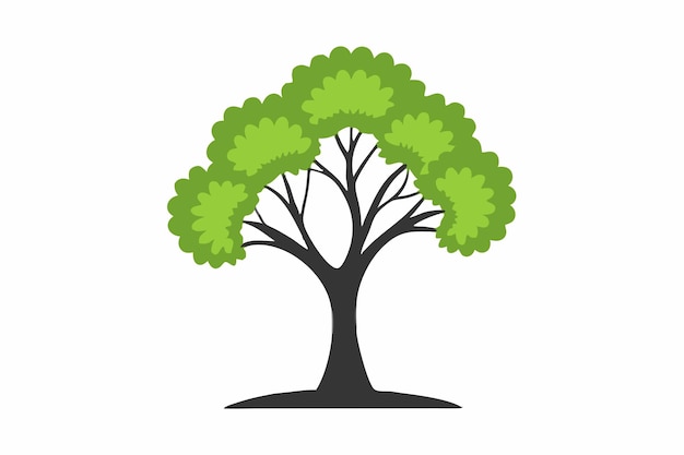 un árbol con hojas verdes en un fondo blanco