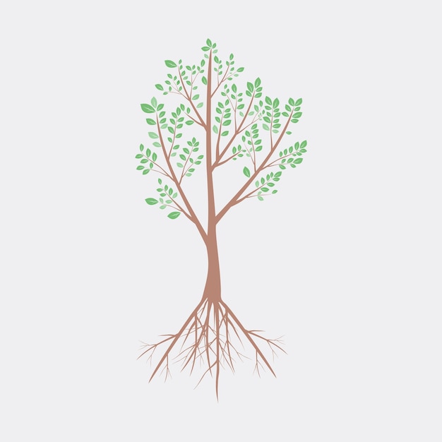 árbol con hojas