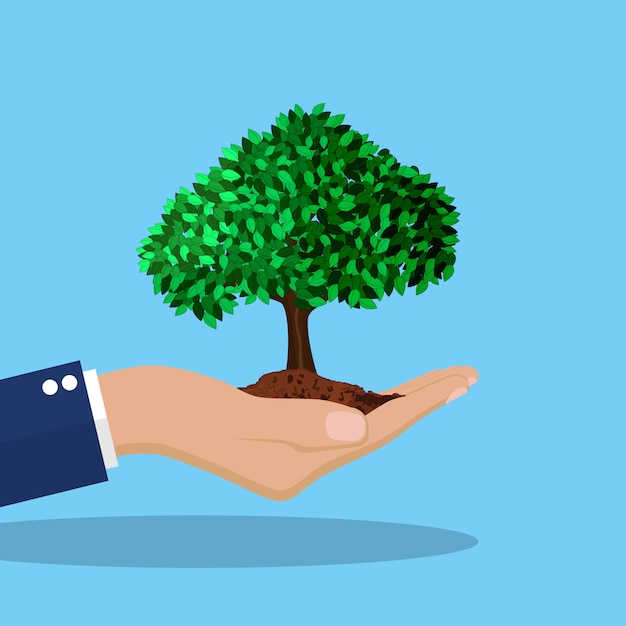 Árbol en mano.