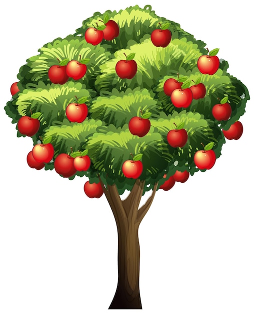 Árbol de manzana aislado sobre un fondo blanco