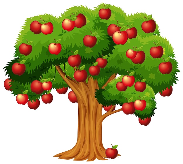 Árbol de manzana aislado sobre un fondo blanco