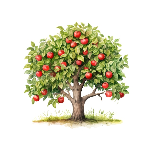 Árbol con manzanas acuarela diseño de ilustración vectorial