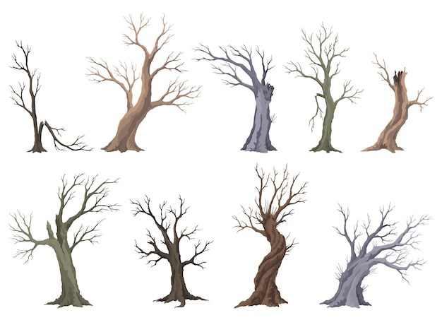 Árbol muerto viejo conjunto áspero corteza espeluznante silhueta de rama seca desnuda vector bosque aterrador tronco sin hojas problemas ecológicos de la naturaleza concepto plantas de temporada de invierno o otoño icono aislado