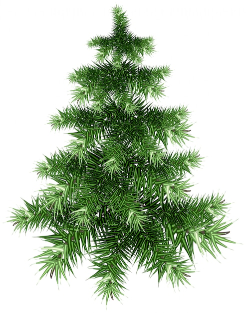 Vector Árbol de navidad verde esponjoso