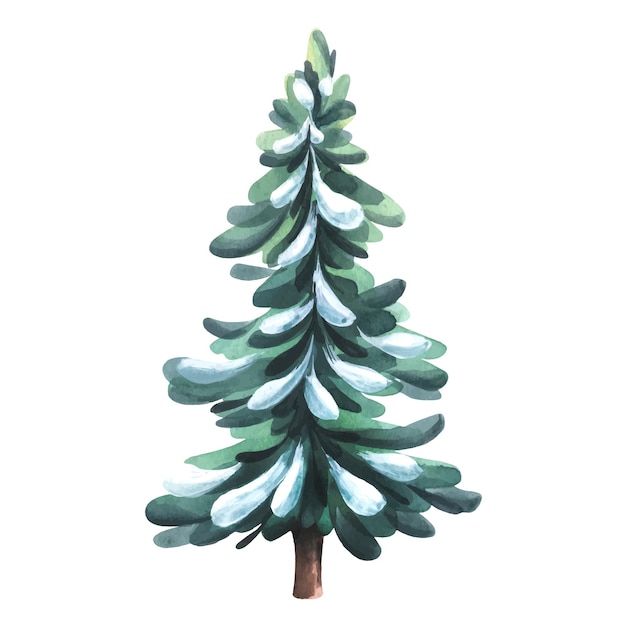 Árbol de Navidad verde con nieve Ilustración de acuarela Un objeto aislado de un gran conjunto de INVIERNO ACOGEDOR Para composiciones de diseño de decoración y decoración de Año Nuevo y Navidad
