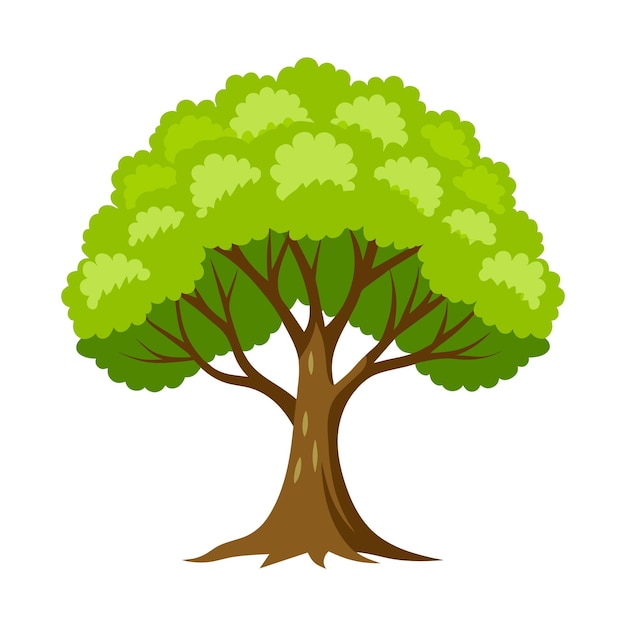 Árbol de olmo aislado en blanco