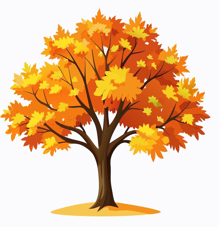 Vector el árbol de otoño cae el follaje de naranja las hojas de la naturaleza ilustración diseño estacional