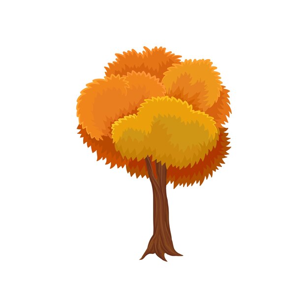 Árbol de otoño con corona redondeada vector ilustración sobre un fondo blanco