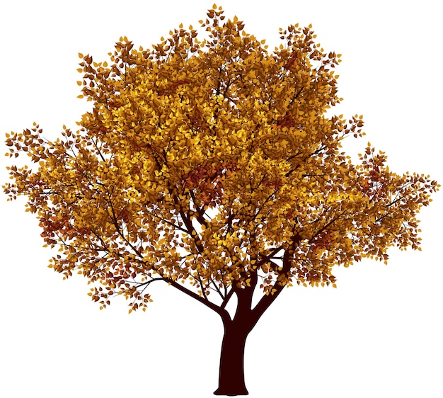 Vector Árbol en otoño