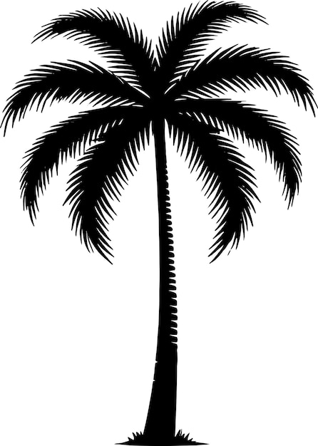 El árbol de palma