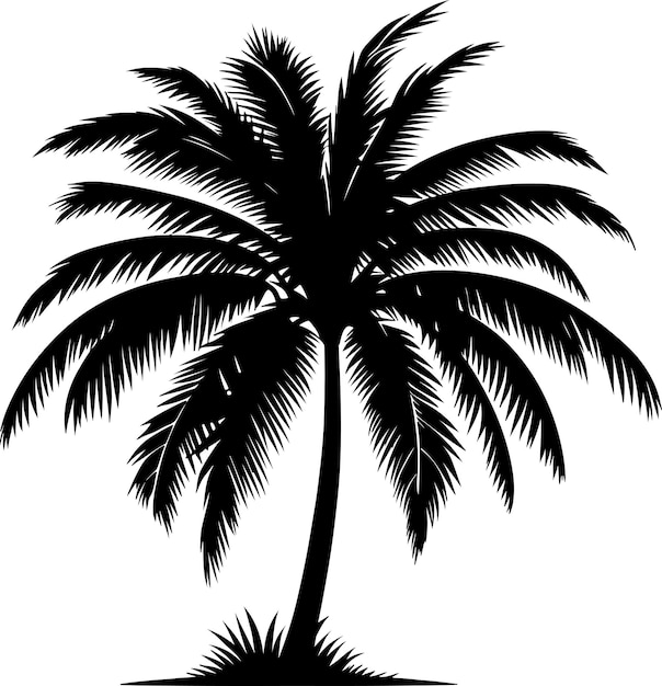 El árbol de la pam