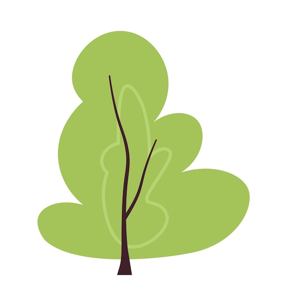 Árbol de parque perenne objeto vectorial de color semi plano planta decorativa icono de clip art de dibujos animados editable en fondo blanco ilustración de punto simple para diseño gráfico web