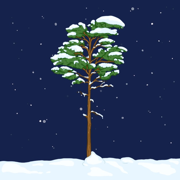 Vector Árbol de pino de hoja perenne de dibujos animados de vector en noche de invierno cubierto de nieve