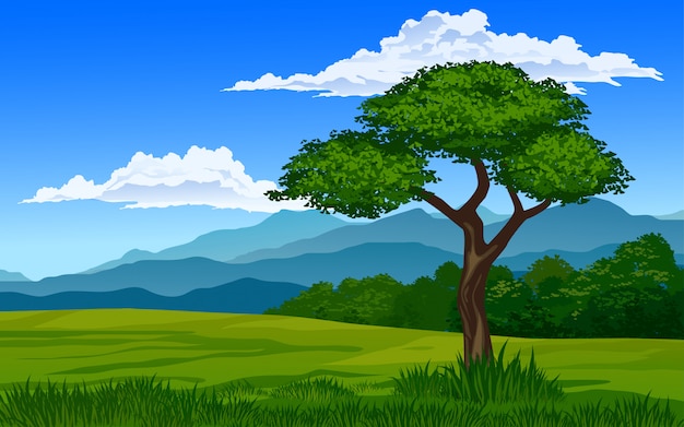 Un árbol en un prado con montaña.