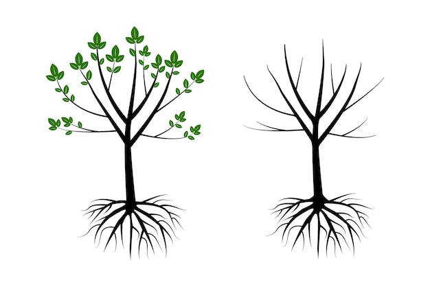 árbol, con, raíces, roble, árbol, vector, ilustración